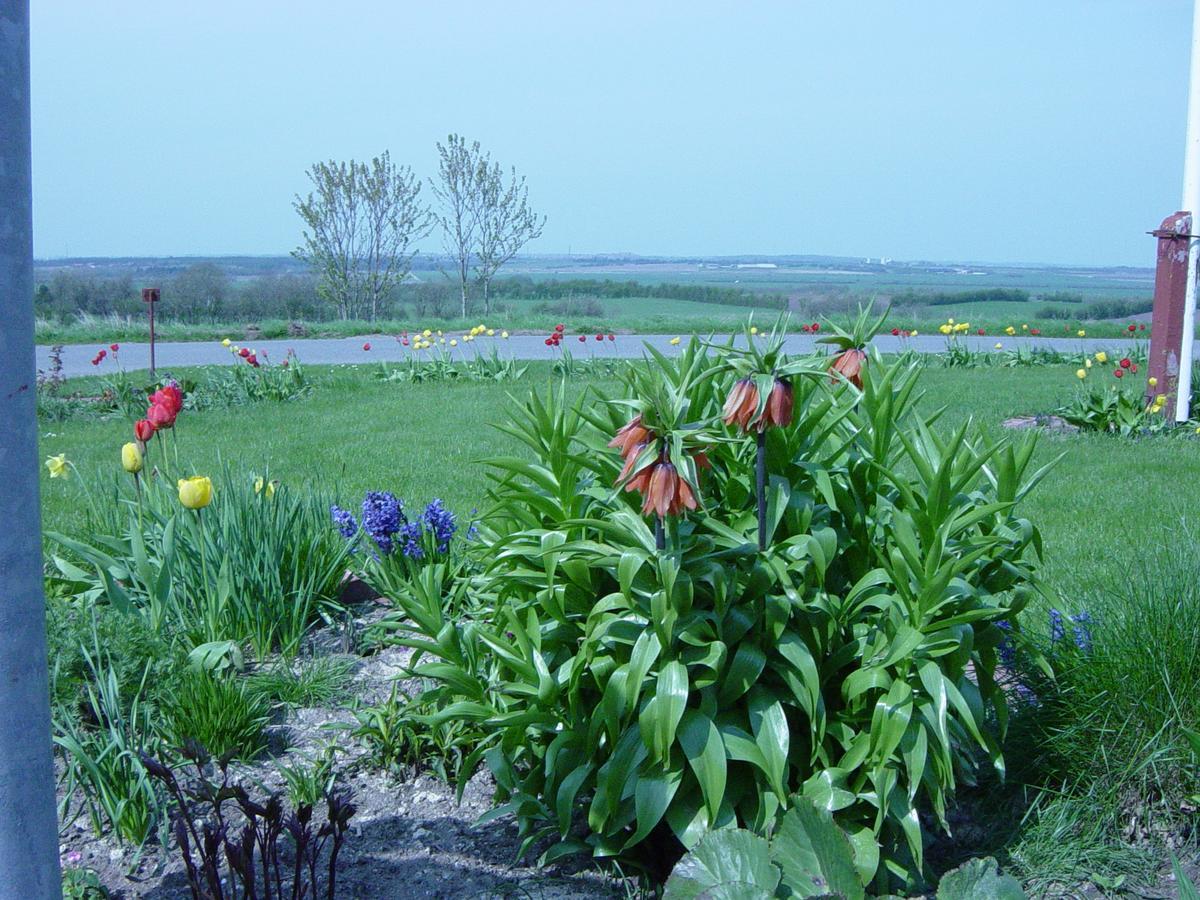 Kardybvej 8 Bed & Breakfast Tastum Exterior photo